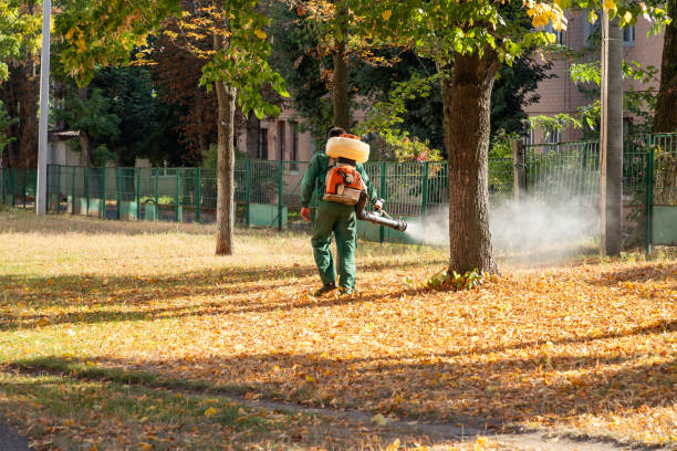 Best Insect Control  in Underwood, IA